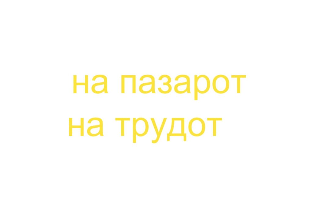 thumbnail of Best Practice 03- Palast – Macedonian lanaguage